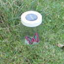 Novelty Solar Powered Bottle Butterfly Dancing Toy Gift Fairy Garden DÃ©cor