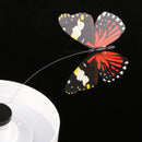 Novelty Solar Powered Bottle Butterfly Dancing Toy Gift Fairy Garden DÃ©cor