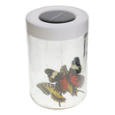 Novelty Solar Powered Bottle Butterfly Dancing Toy Gift Fairy Garden DÃ©cor