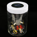 Novelty Solar Powered Bottle Butterfly Dancing Toy Gift Fairy Garden DÃ©cor