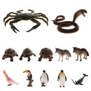 Realistic Animal Model Figurine Action Figures Educational Toy Tortoise