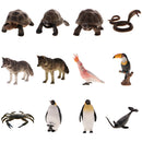 Realistic Animal Model Figurine Action Figures Educational Toy Tortoise