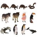 Realistic Animal Model Figurine Action Figures Educational Toy Tortoise