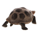 Realistic Animal Model Figurine Action Figures Educational Toy Tortoise