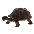 ReLifelike PVC Plastic Reptile Animal Model Figurine Kids Toy Playset Story Telling Prop Collectibles Tortoise