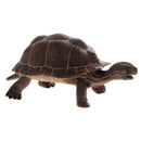 ReLifelike PVC Plastic Reptile Animal Model Figurine Kids Toy Playset Story Telling Prop Collectibles Tortoise
