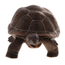 ReLifelike PVC Plastic Reptile Animal Model Figurine Kids Toy Playset Story Telling Prop Collectibles Tortoise