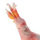 New Simulation Animal Model Figurine Action Figures Educational Toy - Parrot