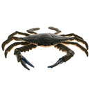 Highly Details Nature Animal Model Action Figurine Kids Educational Novelty Toy- Crab