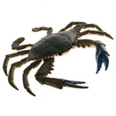 Highly Details Nature Animal Model Action Figurine Kids Educational Novelty Toy- Crab