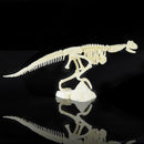 Dinosaur Excavation Kit Dig Your Own Skeleton Science Kit Kids History Toys Carnotaurus Simple