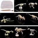 Dinosaur Excavation Kit Dig Your Own Skeleton Science Kit Kids History Toys Carnotaurus Simple