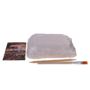 Dinosaur Excavation Kit Dig Your Own Skeleton Science Kit Kids History Toys Triceratops Simple