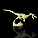 Dinosaur Excavation Kit Dig Your Own Skeleton Science Kit Kids History Toys Velociraptor Simple
