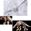 Luxury Dinosaur Excavation Kit Dig Your Own Skeleton Science Kit Kids History Toys Triceratops