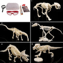 Large Dinosaur Excavation Kit Dig Your Own Skeleton Science Kit Kids History Toys Archaeopteryx