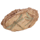 Resin Dragonfly Reliquiae Stone Aquarium Decoration Fish Tank Ornament NEW
