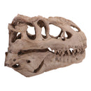 16cm Dinosaur Tyrannosaurus Rex Skull Resin Model Collectibles Aquarium Ornament Home Decor