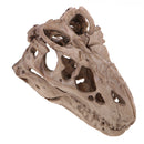 16cm Dinosaur Tyrannosaurus Rex Skull Resin Model Collectibles Aquarium Ornament Home Decor