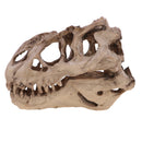 16cm Dinosaur Tyrannosaurus Rex Skull Resin Model Collectibles Aquarium Ornament Home Decor