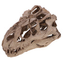 16cm Dinosaur Tyrannosaurus Rex Skull Resin Model Collectibles Aquarium Ornament Home Decor