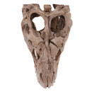 16cm Dinosaur Tyrannosaurus Rex Skull Resin Model Collectibles Aquarium Ornament Home Decor