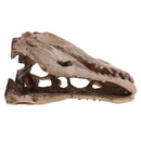 16cm Dinosaur Tyrannosaurus Rex Skull Resin Model Collectibles Aquarium Ornament Home Decor