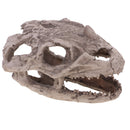 20cm Dinosaur Ceratopsia Skull Resin Model Collectibles Aquarium Ornament Home Decor