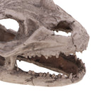 20cm Dinosaur Ceratopsia Skull Resin Model Collectibles Aquarium Ornament Home Decor
