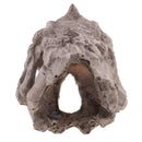 20cm Dinosaur Ceratopsia Skull Resin Model Collectibles Aquarium Ornament Home Decor