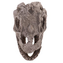 20cm Dinosaur Ceratopsia Skull Resin Model Collectibles Aquarium Ornament Home Decor