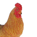 Realistic Farm Animal Cock Model Action Figures Figurine Kids Educational Toy Children Gifts
