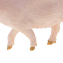 Simulation Farm Animals Sow Model Action Figures Kids Toy Collectibles Home Decor