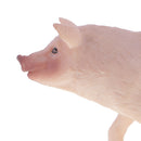 Simulation Farm Animals Sow Model Action Figures Kids Toy Collectibles Home Decor