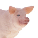 Simulation Farm Animals Sow Model Action Figures Kids Toy Collectibles Home Decor