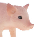 Simulation Farm Animals Sow Pig Model Action Figures Kids Toy Collectibles Home Decor