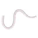 Charming Soft Plastic False Eyelashes for Craft DIY BJD Doll Makeup 200Pieces Brown