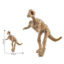 Pack of 12 Plastic Dinosaur Skeletons Model Figures Great Party Loot Bag Fillers Children Kids Xmas Gifts Home Ornaments