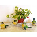 Resin 2.7'' Kingfishers Birds Figurines Home Garden Ornament Decor - Assorted Set of 4