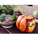 Hand Painted Vivid Orange Pumpkin Figurine For Backyard Lawn or Garden Decor 6.3inch