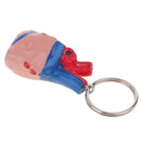Miniature Colorful High Details Human Heart Model Keychain School Learning Kids Toy Halloween Party Decoration