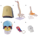 Simulation Suture Training Human Skin Model 3 Silicone Rubber Pad Repeated Practice Teaching Tool