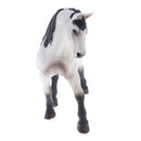 Realistic Science Plastic Animal Model Figure Tennessee White Horse Figurine Children Kids Educational Toy Decoration Collectibles Kids Story Telling Props