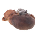 Exquisite Resin Sleeping Cat Dog Figurine for Backyard Garden Decor Doorway Ornament Accessory
