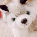 Kids Plush Toys Huskie Dog Stuffed Animal Baby Children Birthday X-mas Gift