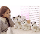 Kids Plush Toys Huskie Dog Stuffed Animal Baby Children Birthday X-mas Gift