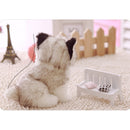 Kids Plush Toys Huskie Dog Stuffed Animal Baby Children Birthday X-mas Gift