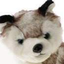 Kids Plush Toys Huskie Dog Stuffed Animal Baby Children Birthday X-mas Gift