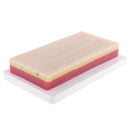 Suturing Practice Kit 3 Layers Skin Fat Muscle Suture Pad Human Skin Training Model School Teaching Tool