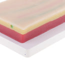 Suturing Practice Kit 3 Layers Skin Fat Muscle Suture Pad Human Skin Training Model School Teaching Tool